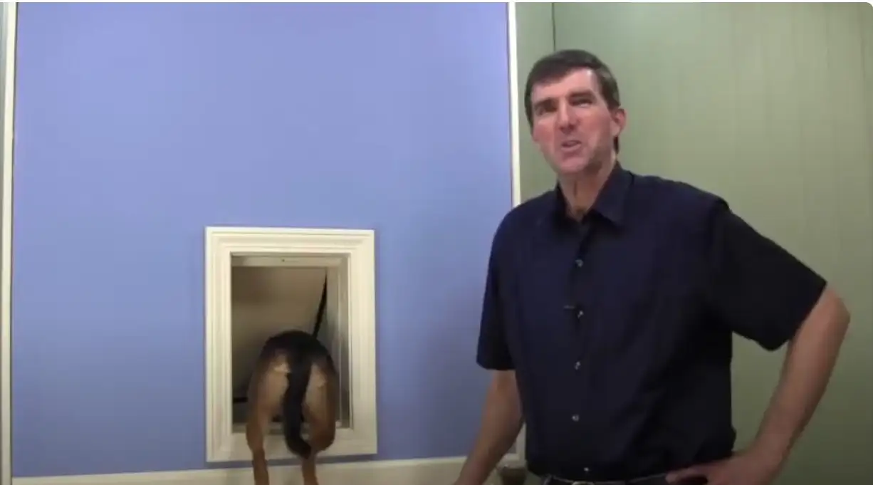 Vidcap showing beagle exiting newly-installed pet door